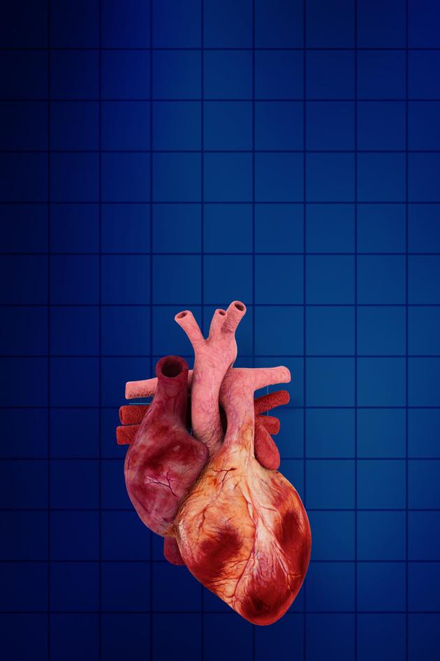 A World Without NASA