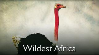 Wildest Africa