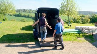 Tractor Trouble