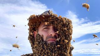 Swarmed by Killer Bees
