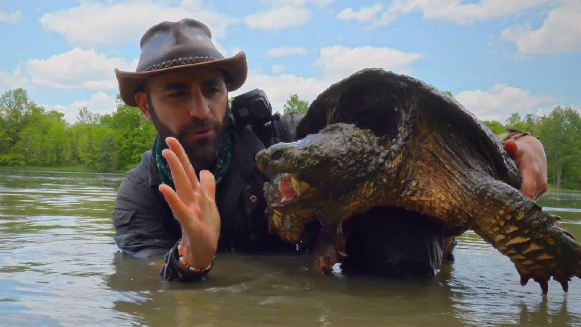 Coyote Peterson: Brave the Wild: Legendary Turtle of Texas