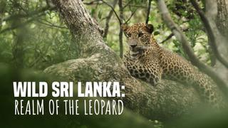 Wild Sri Lanka: Realm of the Leopard