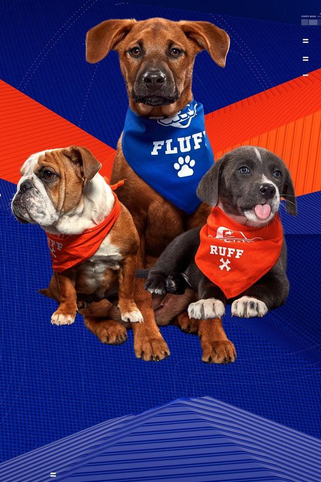 Puppy Bowl XVI Pre-Game Show