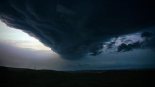 Mutant Wind