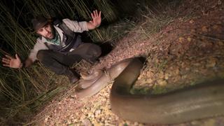 Constricted By a Colossal Python