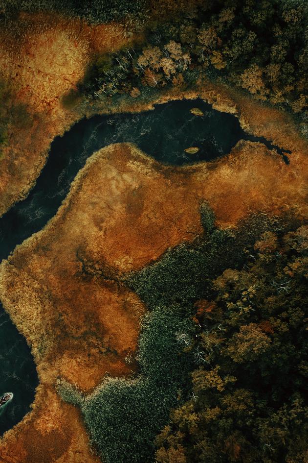 Swamp People: Serpent Invasion