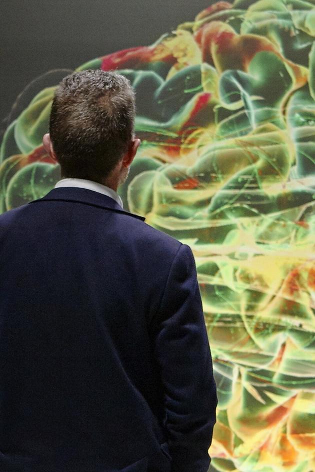 The Curious Mind