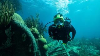Expedition Unknown