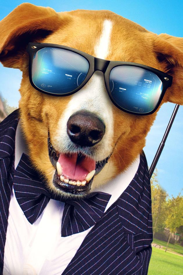 Agent Toby Barks
