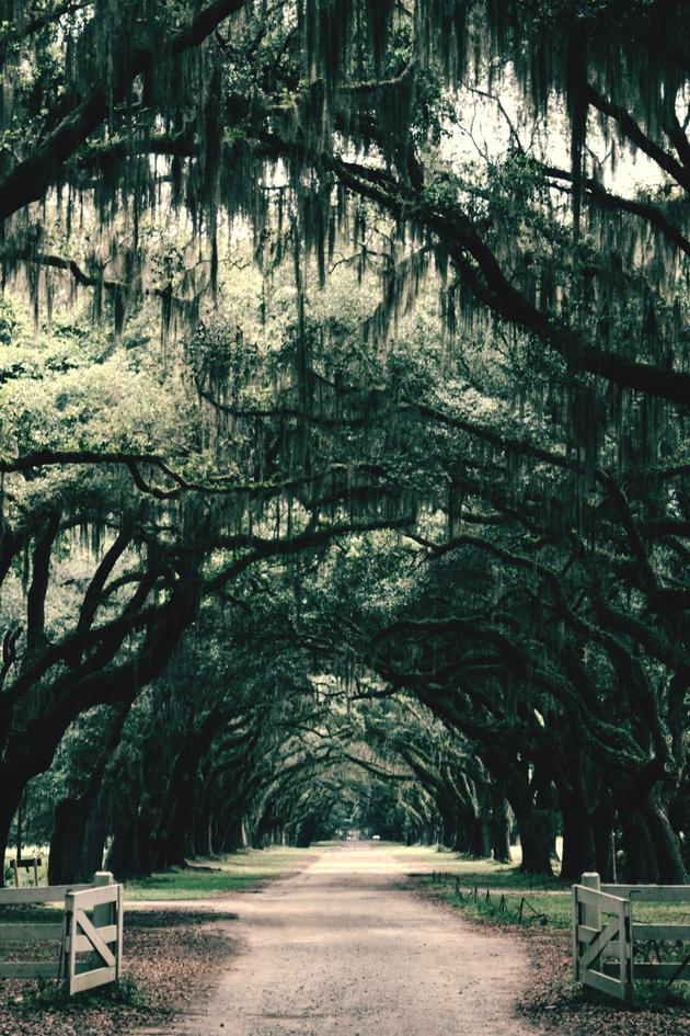 Southern Gothic