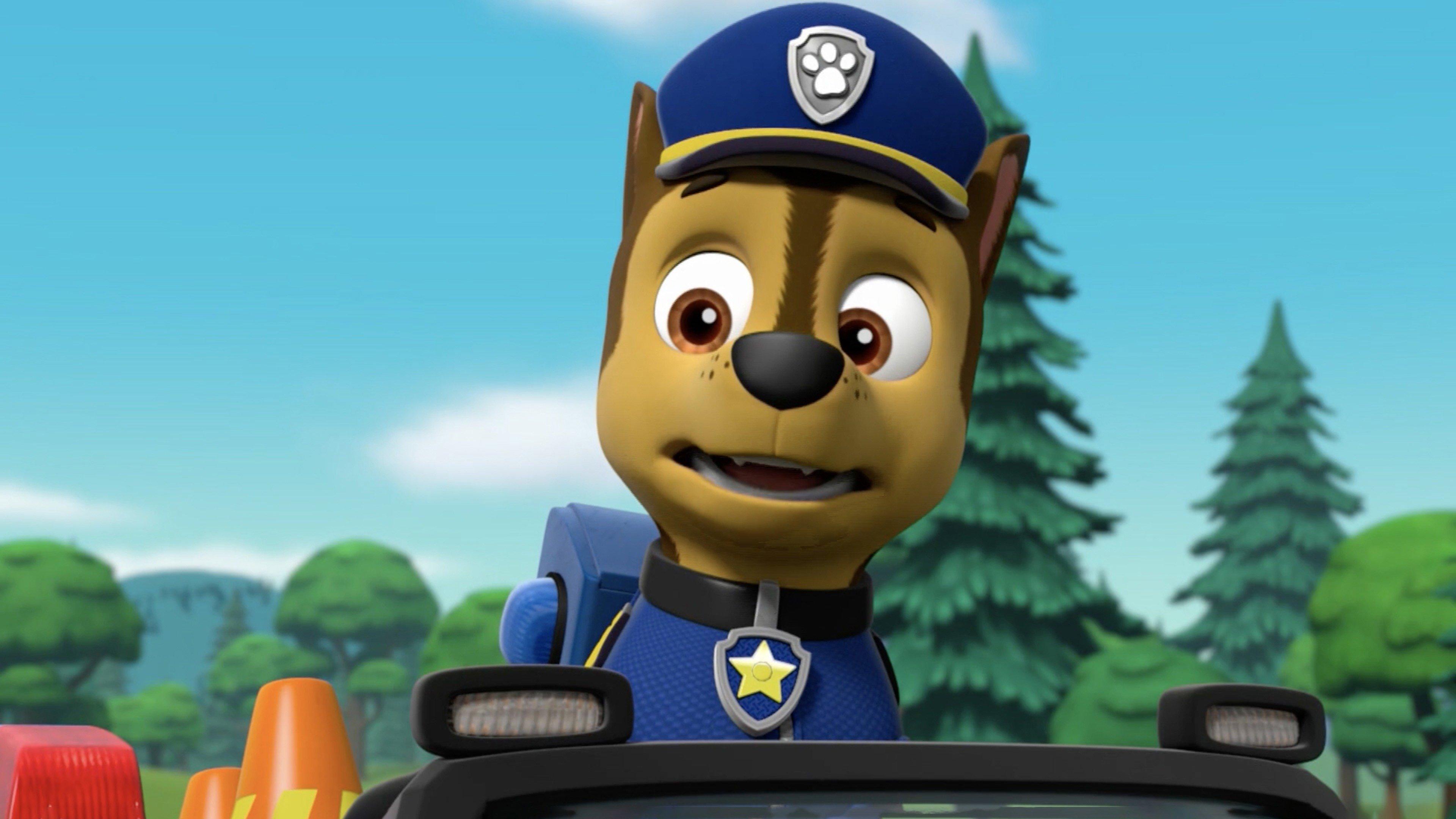 PAW Patrol: Pups Save a Roo