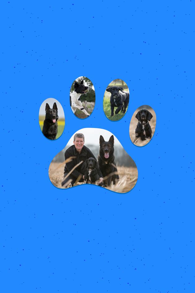 Dog Detectives