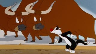 Bull Running on Empty