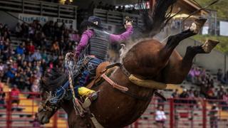 Saddle Bronc Rider