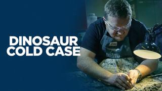 Dinosaur Cold Case