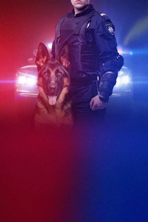 Live PD: Police Patrol K9