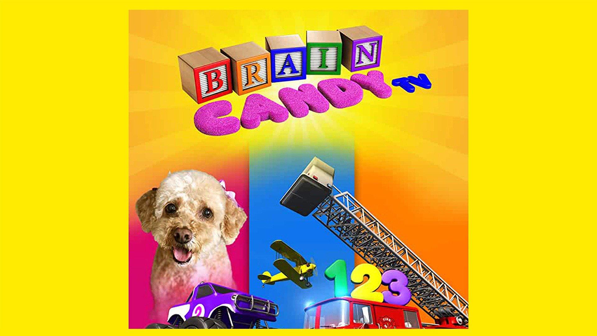 Brain Candy TV