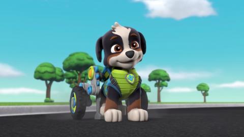 Dino Rescue: Pups and the Lost Dino Eggs