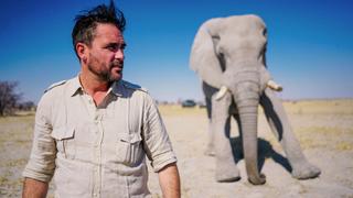 Man vs. Elephant