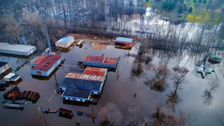 Mutant Floods