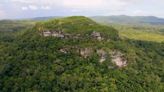 Secrets in the Jungle