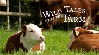 Wild Tales from the Farm