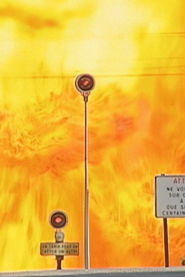 World's Most Amazing Videos