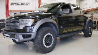 Daily Raptor