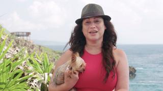 Pulling the Trigger and Ending a Three-Year Search on Roatan