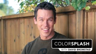 Color Splash