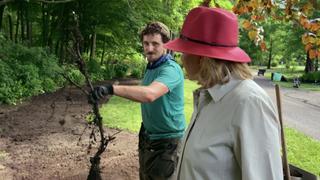 Perennial Garden