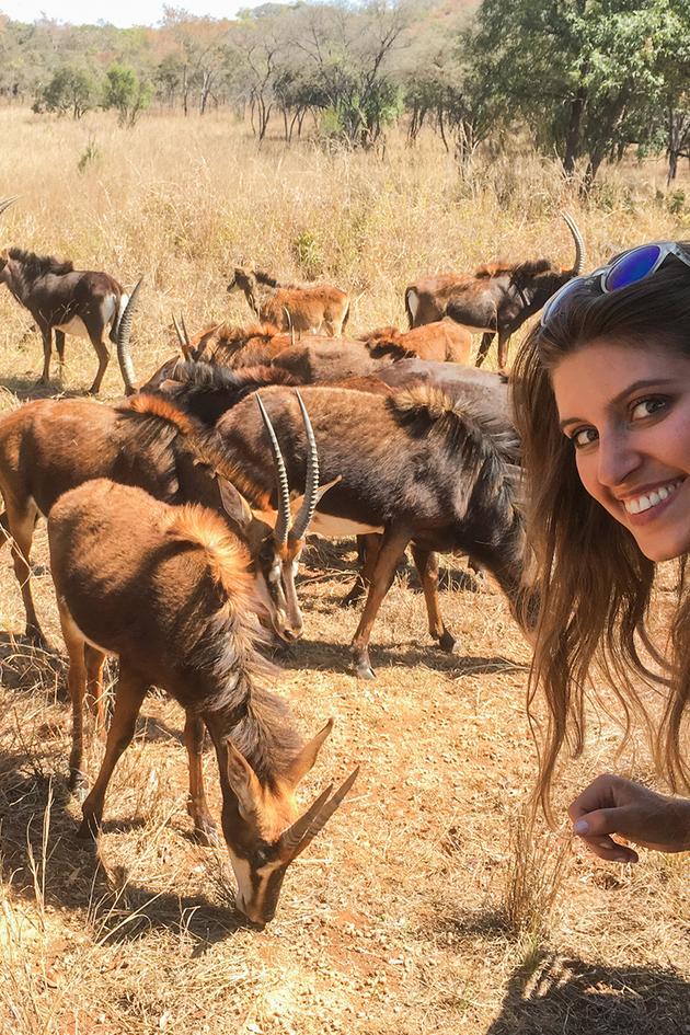 Epic Safari Encounters