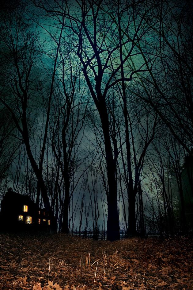 Paranormal State