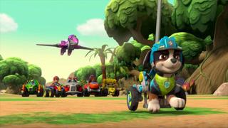 PAW Patrol