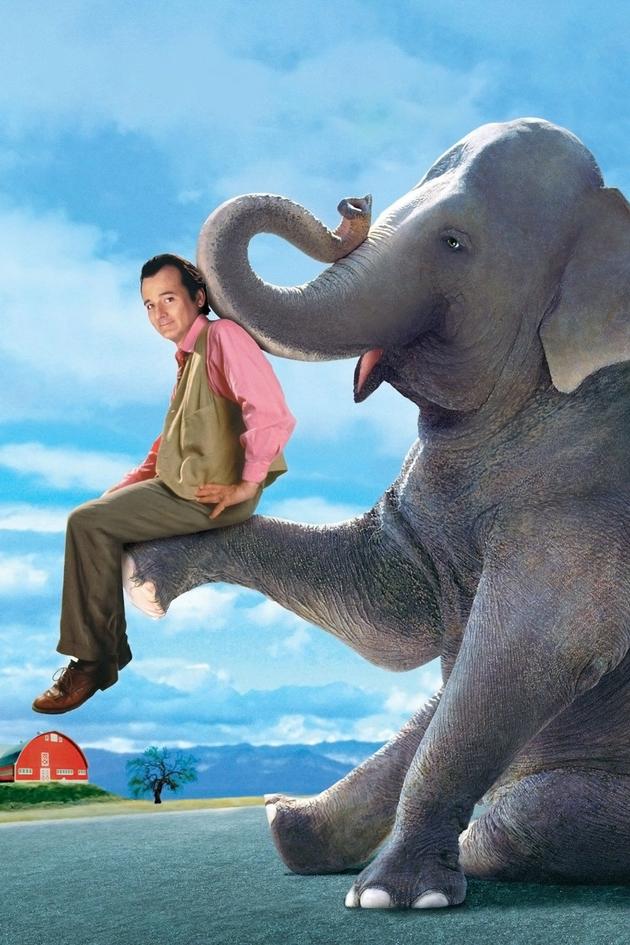 Larger Than Life