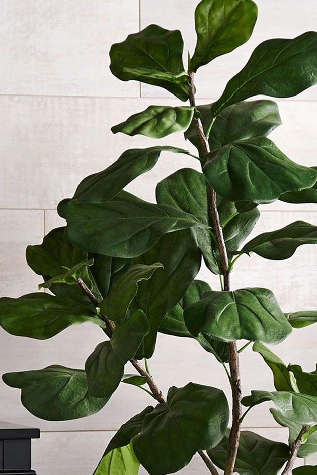 Refresh Your Home