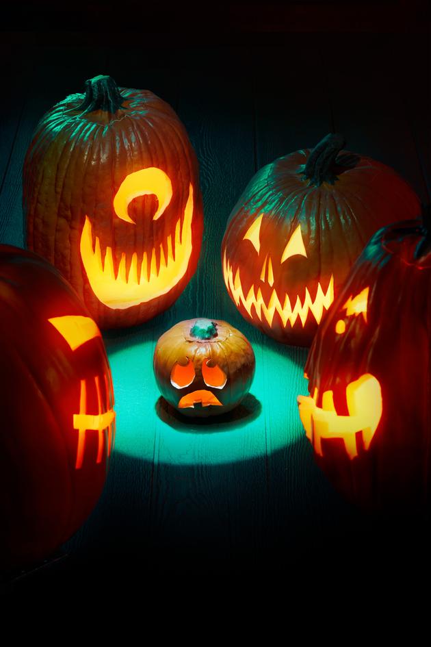 Outrageous Pumpkins