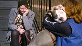Pit Bulls and Parolees