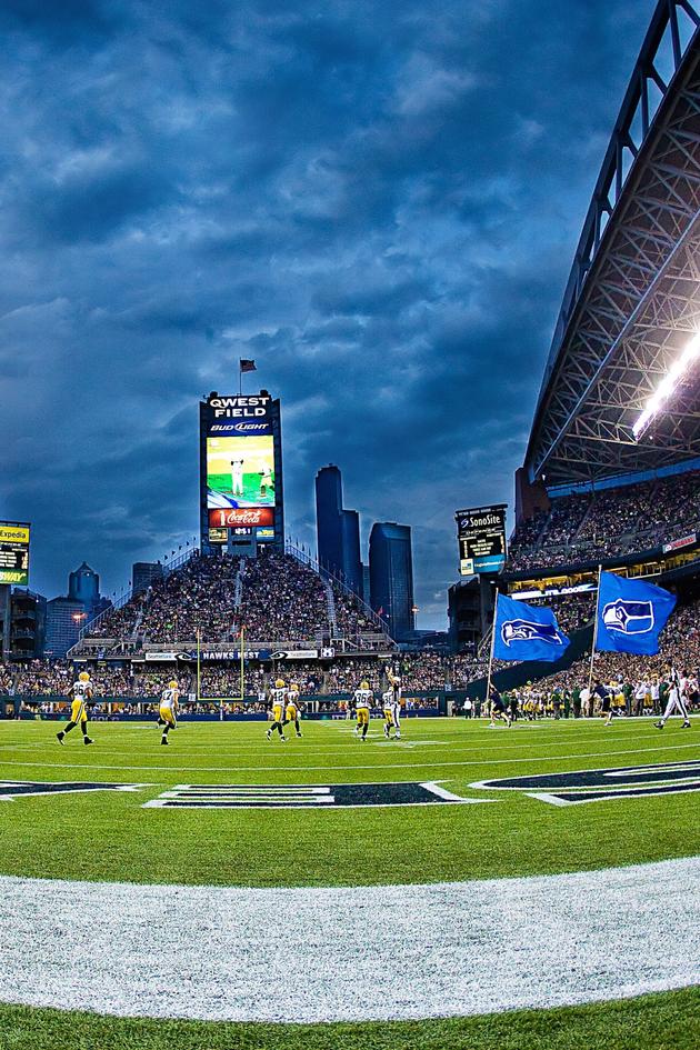NFL Super Stadiums
