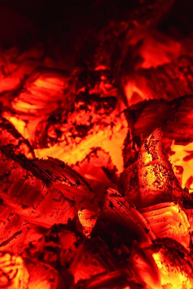 Fuego: An Ode to Fire