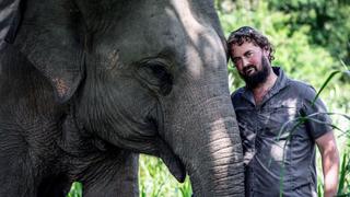 Caring for the Elephants