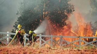 Forestry and Fire Protection