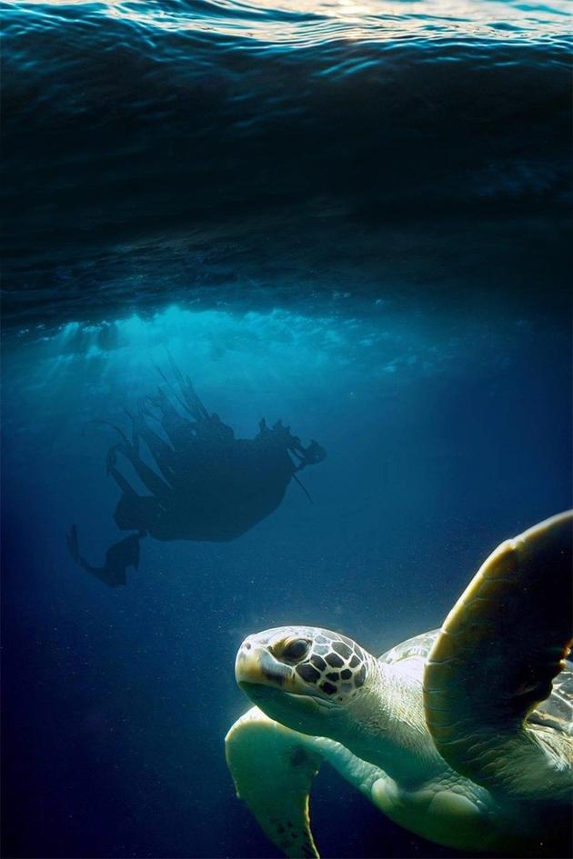 Rubber Jellyfish