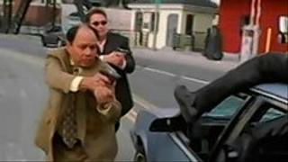 Nash Bridges