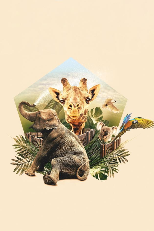 Mega Zoo