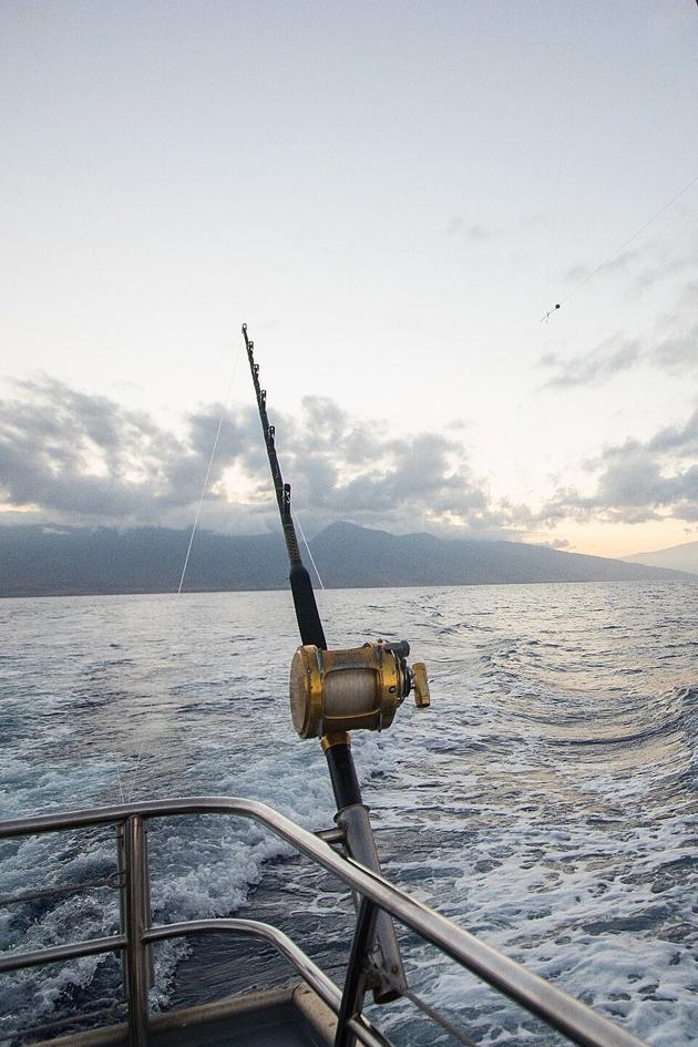 The Elite Fishing League