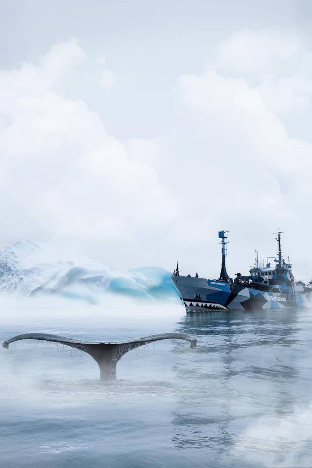 Whale Wars