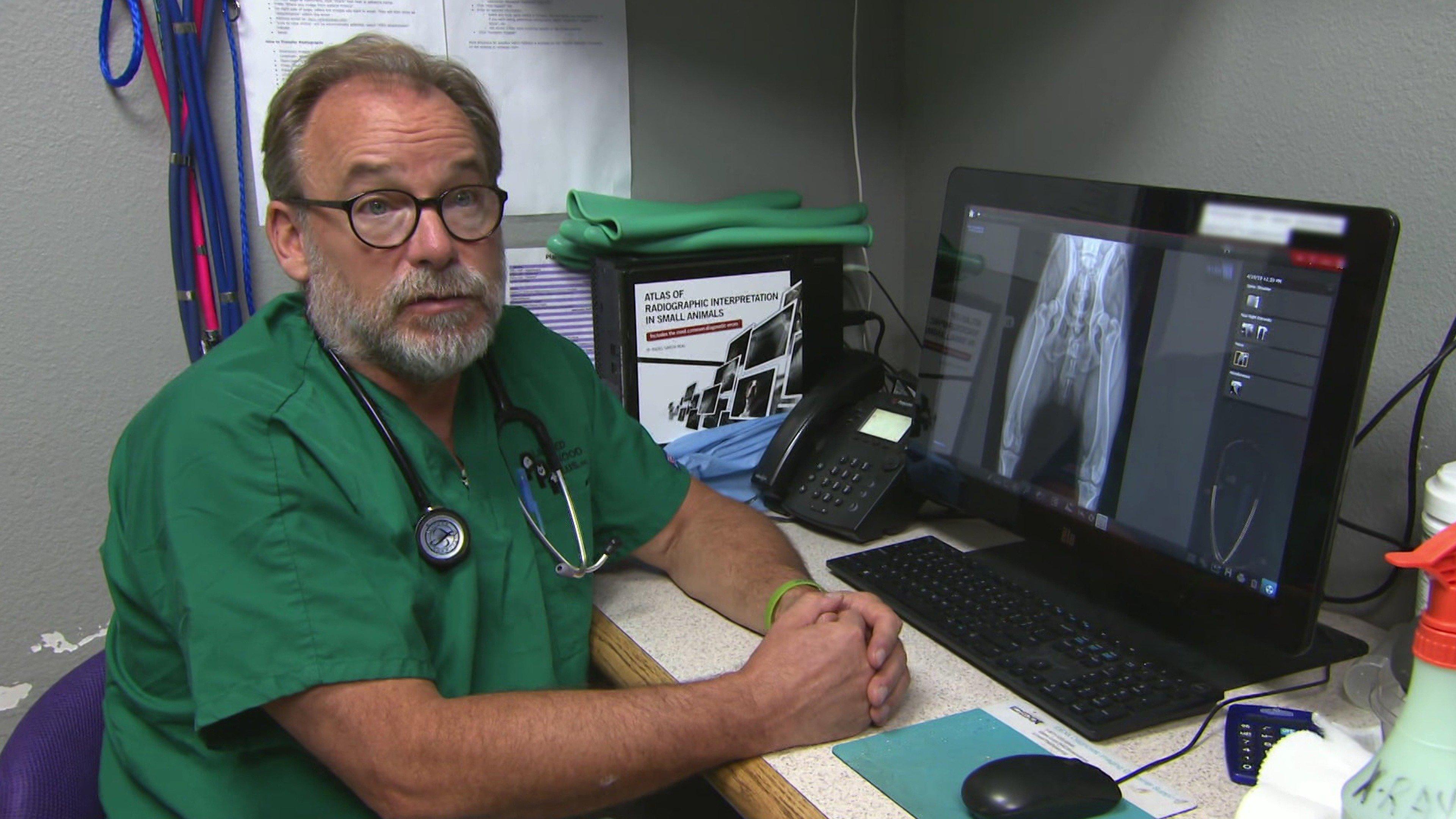 Dr. Jeff: Rocky Mountain Vet: Passing the Scalpel