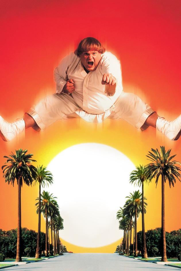 Beverly Hills Ninja