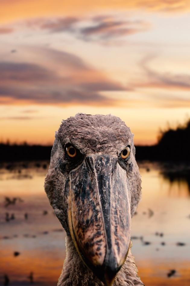 Wonderful Wetlands